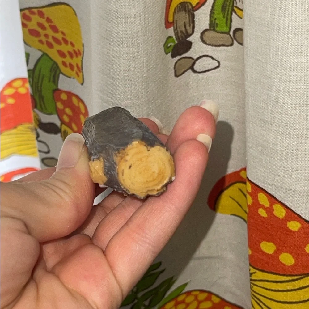 Reptile food or water dish Bowl and Log Accent